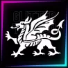 Medium Dragon stencil, 7 × 8.5 cm, for temporary tattoos using glitter, body paint, airbrush and henna.