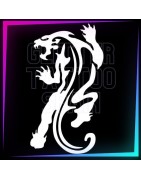 Dragones, Panteras y Leones